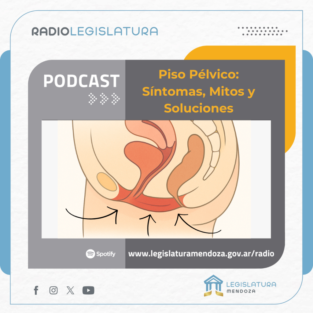 Podcast Piso pélvico